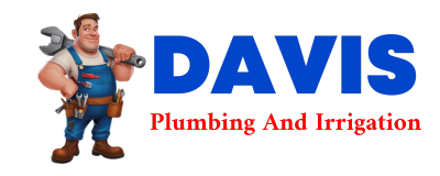 Trusted plumber in LA RUE